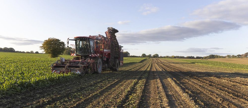 Der Balanceakt der Landwirtschaft