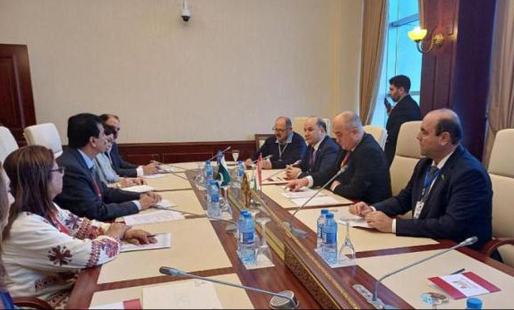 فیضعلی عیدی زاده با رئیس مجلس سنای جمهوری اسلامی پاکستان دیدار و گفتگو کرد