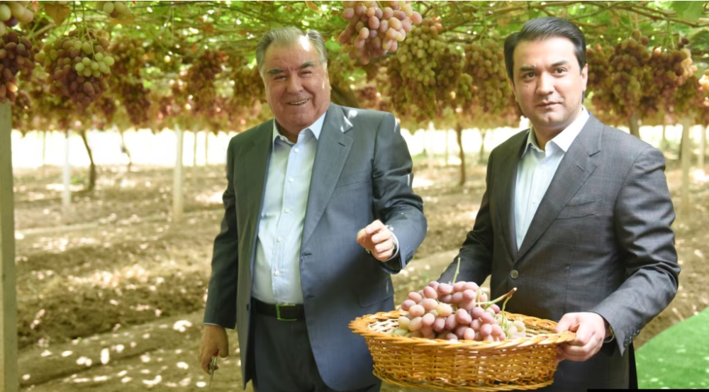 Станет ли Таджикистан членом ЕАЭС? Что это может сулить стране и кто в этом заинтересован?