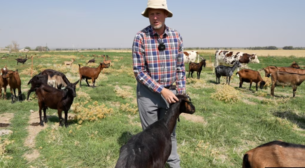 Из Австралии — в таджикское село: как Джеффри и Бетани открыли свое дело в Зафарабаде