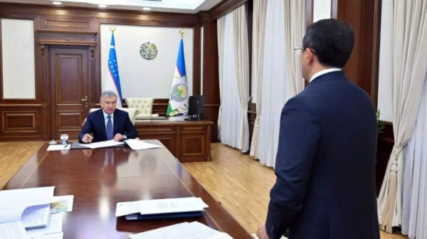 2026 йилдан ҳомиладорлик учун нафақа тўланади