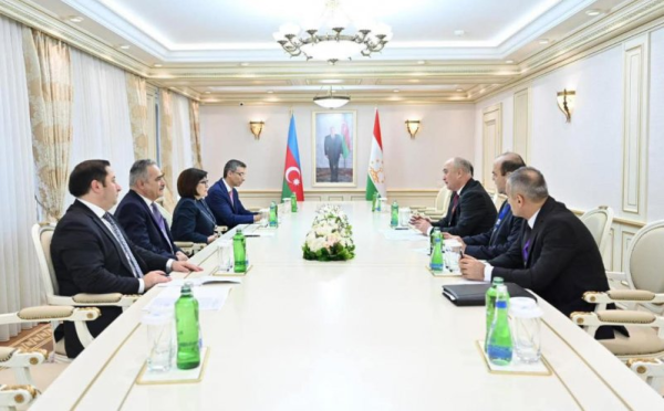 فیضعلی عیدی زاده با رئیس مجلس ملی جمهوری آذربایجان دیدار و گفتگو کرد