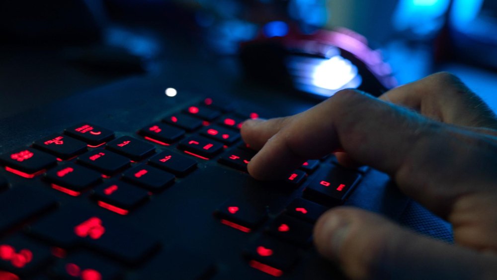 BKA meldet Festnahmen bei Razzia gegen Betrüger-Netzwerk