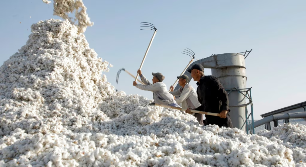 Узбекский "целлюлозный король". Санкции за военные поставки России