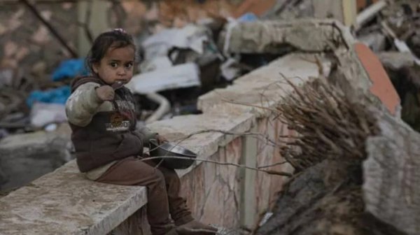 ЖССТ Ғазода 40 минг болани эмлаш режасини бошлади