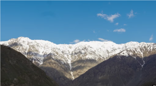 ГКНБ Таджикистана сообщил о ликвидации четырех боевиков, проникших из Афганистана