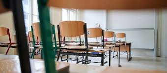 Warum die AfD gegen die Schulpflicht ist