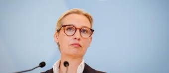 Weidel nennt Vetternwirtschafts-Vorwürfe "haltlos"