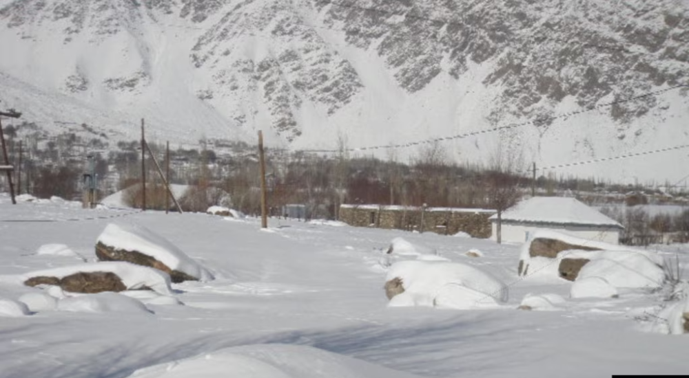 На востоке Таджикистана волк напал на 9-летнюю школьницу — ребенок погиб