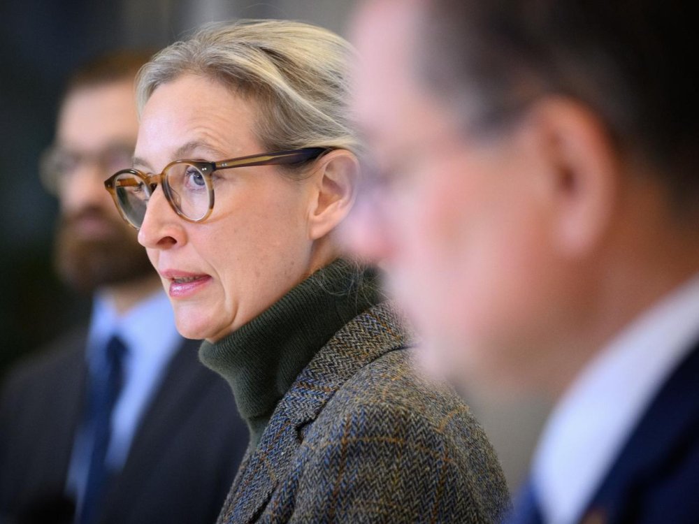 Die AfD-Spitze greift ein - und steckt im Dilemma