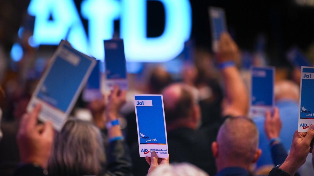 AfD Sachsen-Anhalt setzt Kommission ein