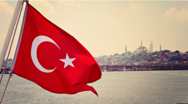 Турция упростила процедуру выдачи разрешений на работу для мигрантов из Узбекистана