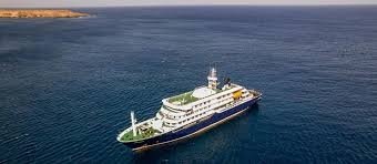 Hantavirus - Kreuzfahrtschiff darf nicht anlegen
