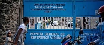 Wie gefährlich ist der Ebola-Ausbruch?